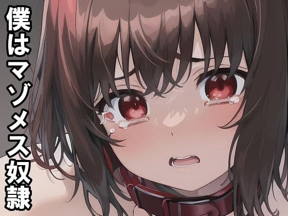 【小説＋おまけイラスト7枚】僕はマゾメス奴●I