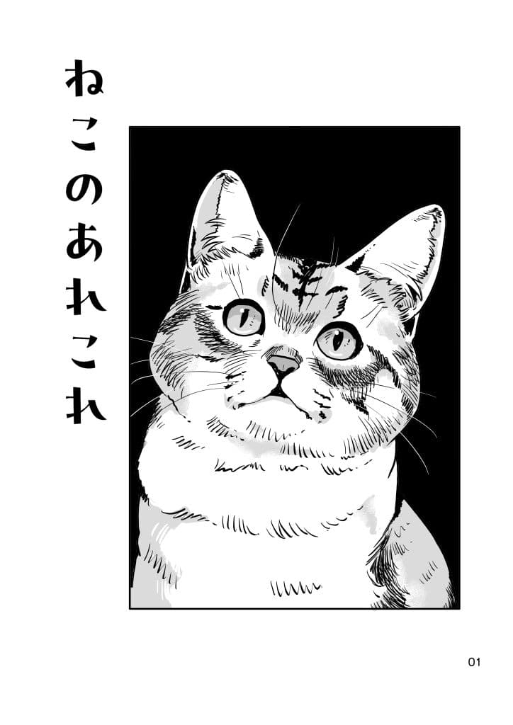 ねこのあれこれ サンプル1