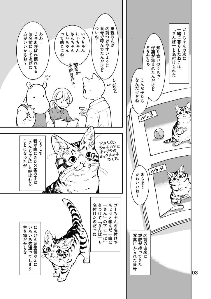 ねこのあれこれ サンプル3