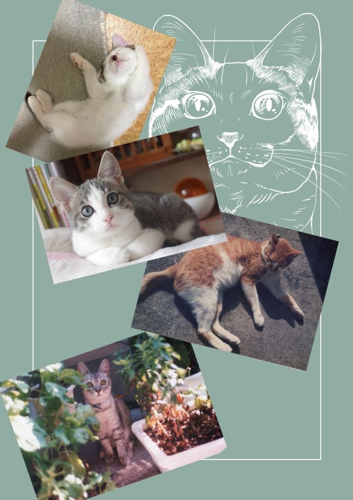 ねこのあれこれ サンプル8