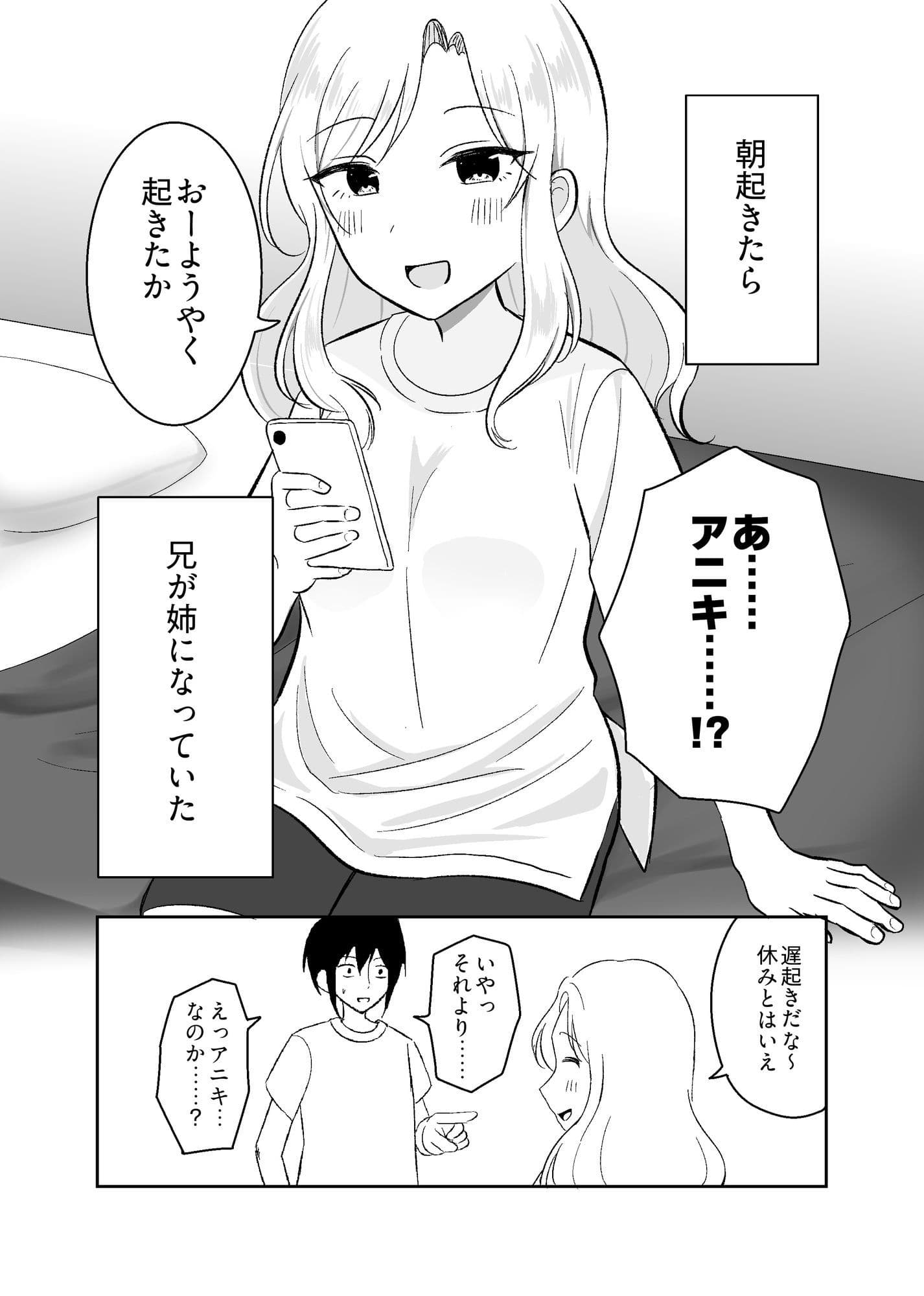 姉になった兄が誘惑してきたので サンプル2