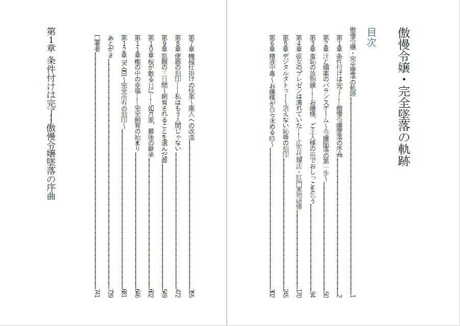 傲慢令嬢を肉便器に変える1ヶ月 サンプル1