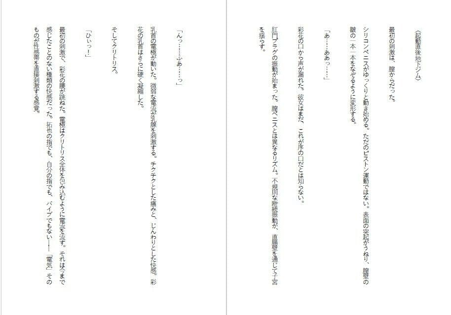 傲慢令嬢を肉便器に変える1ヶ月 サンプル5