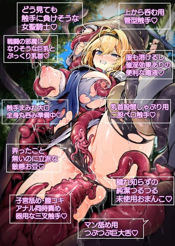 聖騎士様は丸呑み触手のナカ。 サンプル6