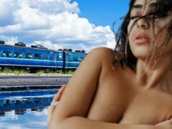 ブルートレイン殺●事件 ―動く密室と、旅路の果てに堕ちる人妻刑事
