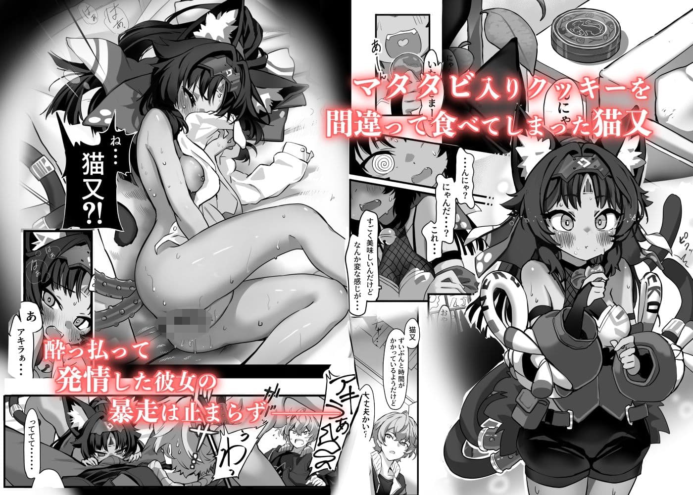 猫はマタタビの夢をみる サンプル1