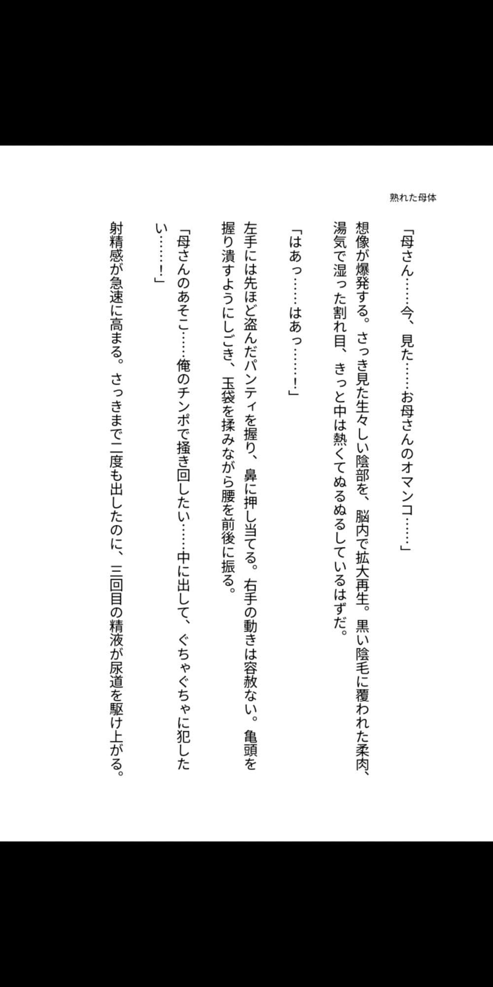 背徳の母子 〜熟れた母体に堕ちる息子の肉欲〜 サンプル1