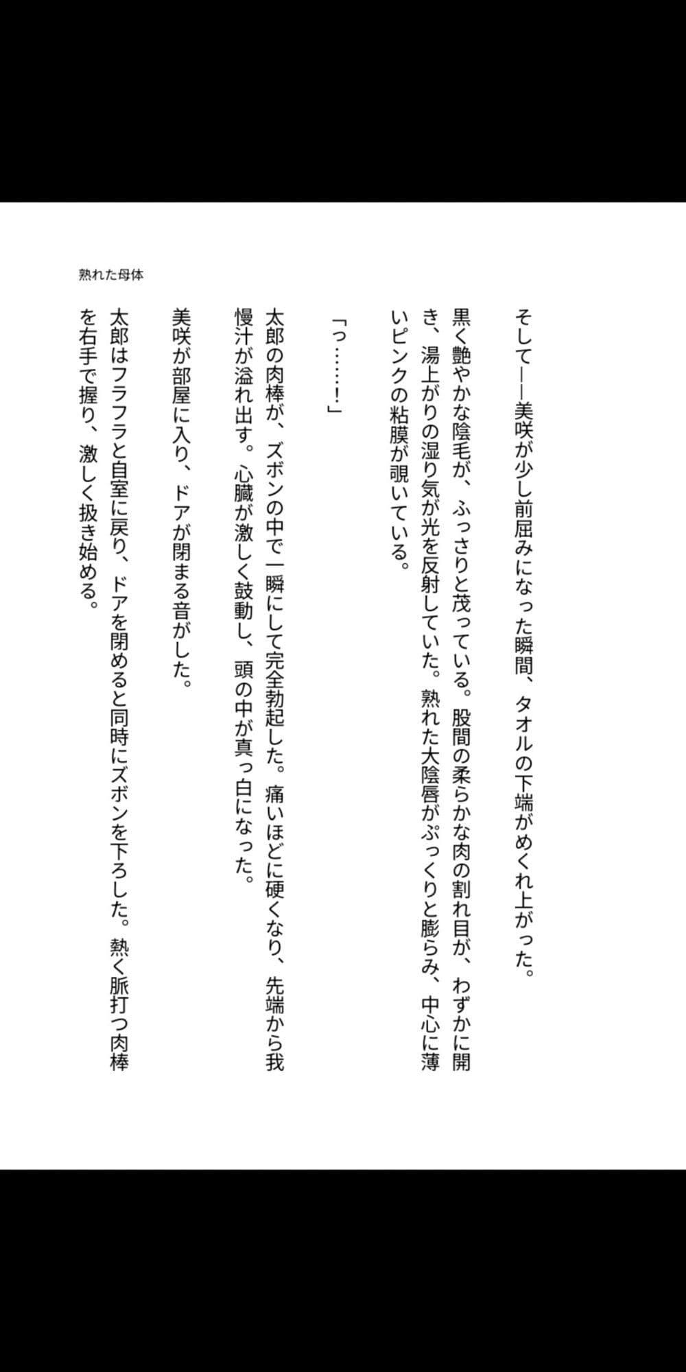 背徳の母子 〜熟れた母体に堕ちる息子の肉欲〜 サンプル2
