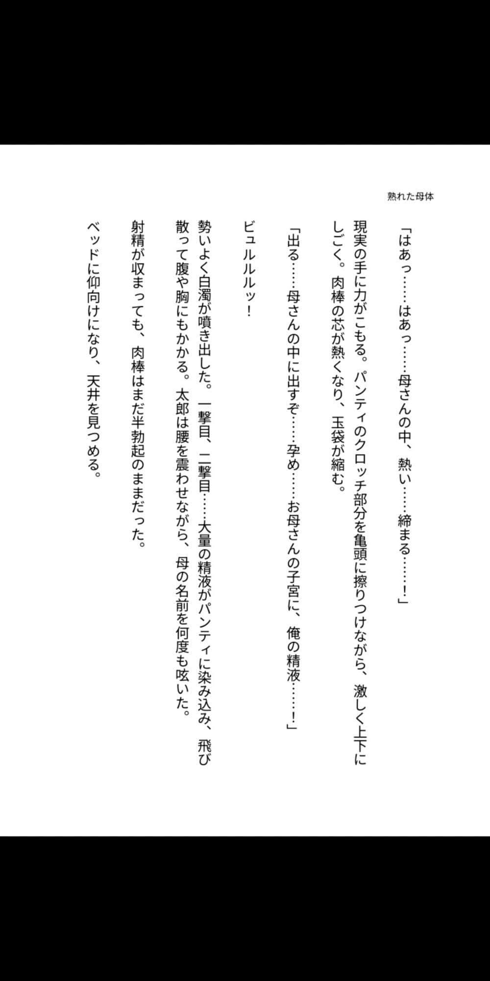 背徳の母子 〜熟れた母体に堕ちる息子の肉欲〜 サンプル3