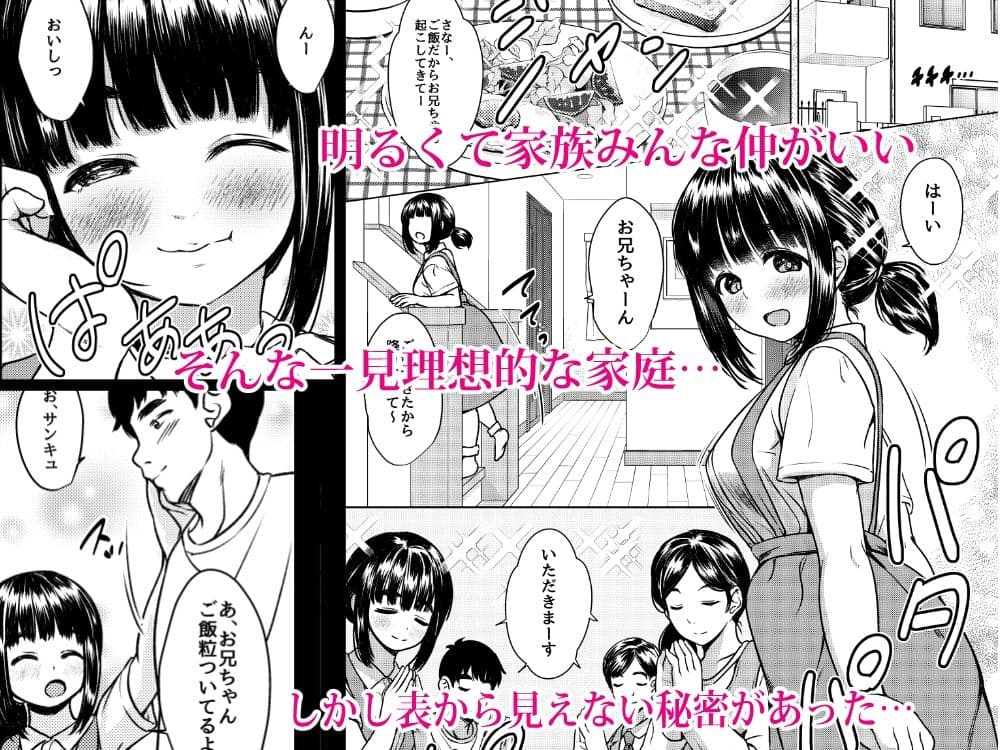 兄妹が終わる時  〜可愛く成長した妹に壊れた兄が手を出すまで〜 サンプル1
