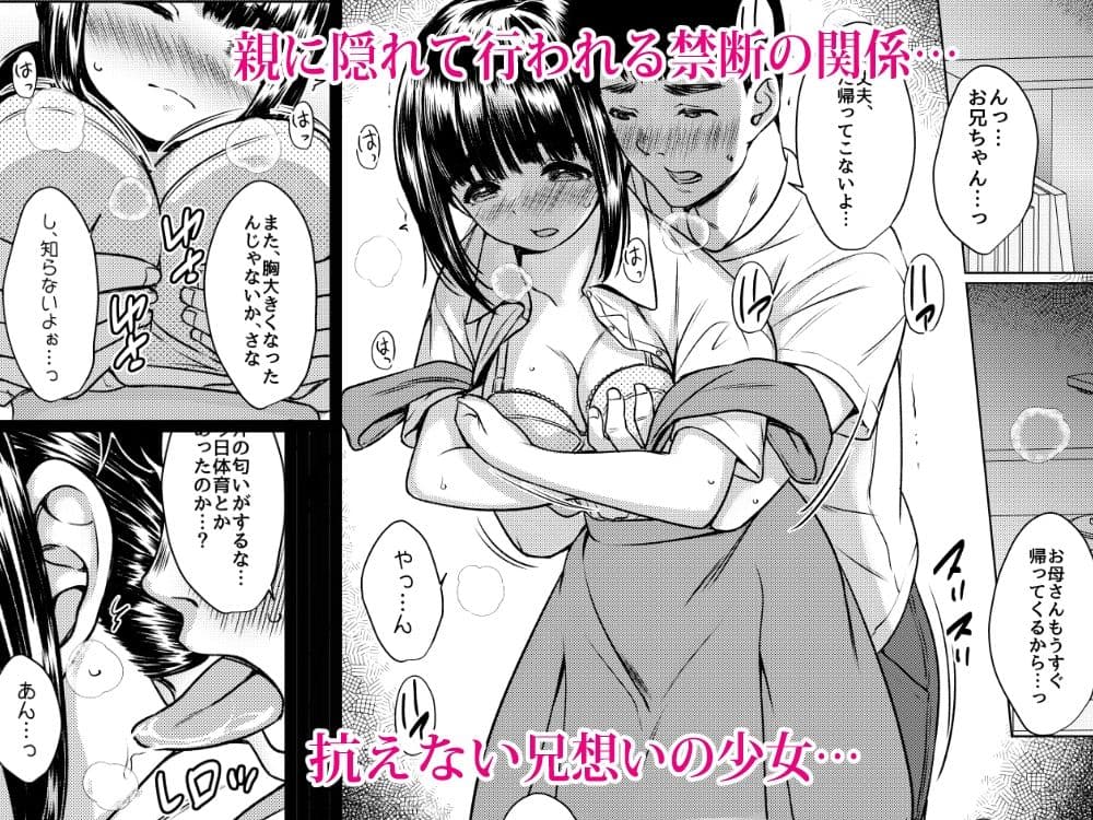 兄妹が終わる時  〜可愛く成長した妹に壊れた兄が手を出すまで〜 サンプル2