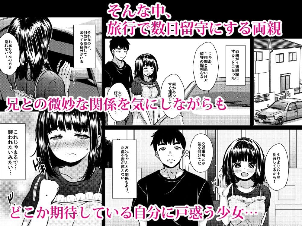兄妹が終わる時  〜可愛く成長した妹に壊れた兄が手を出すまで〜 サンプル4