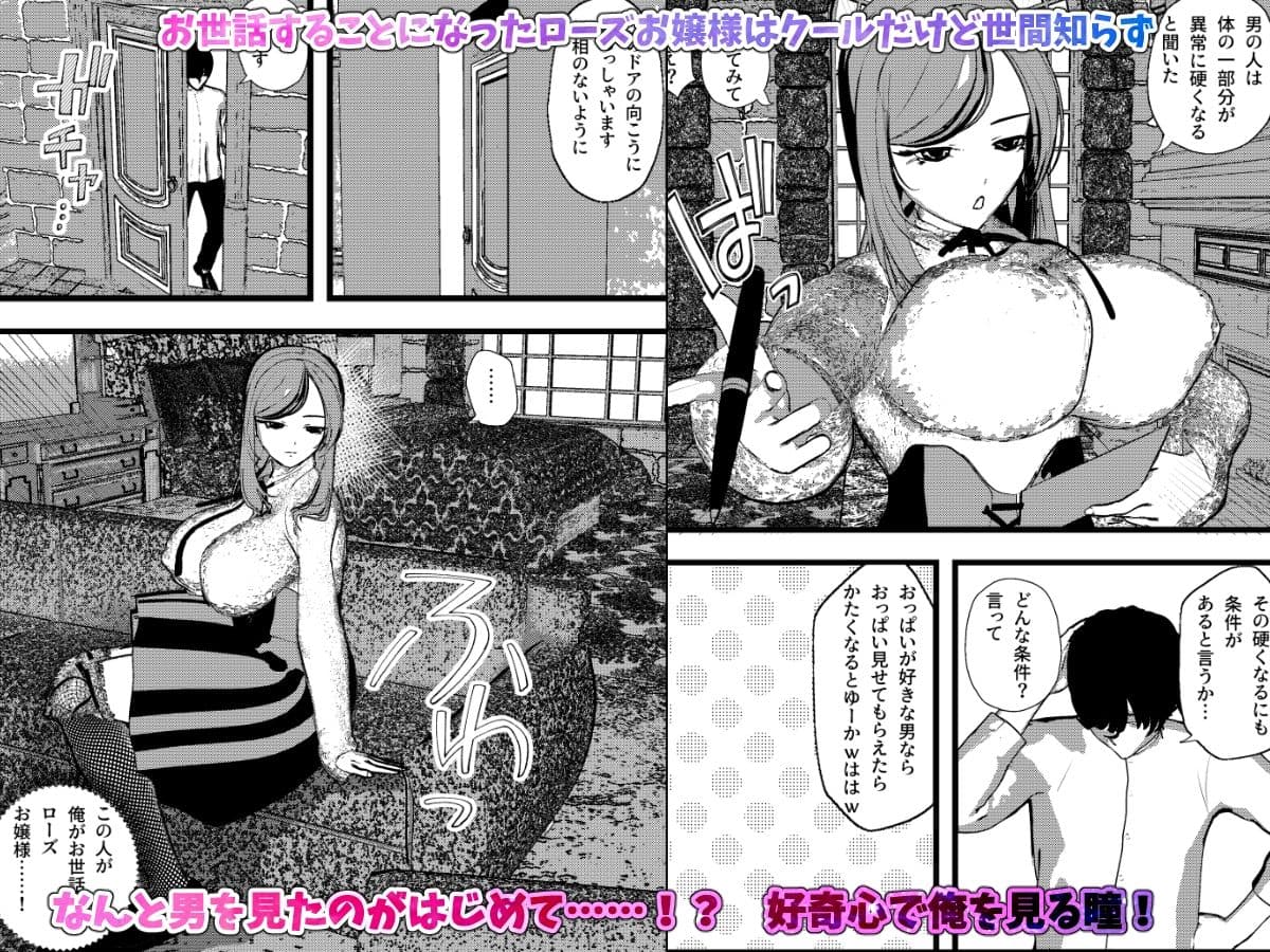 無表情クールなお嬢様は俺の事が大好きで献身的なSEXしてくれちゃうッ！ サンプル1