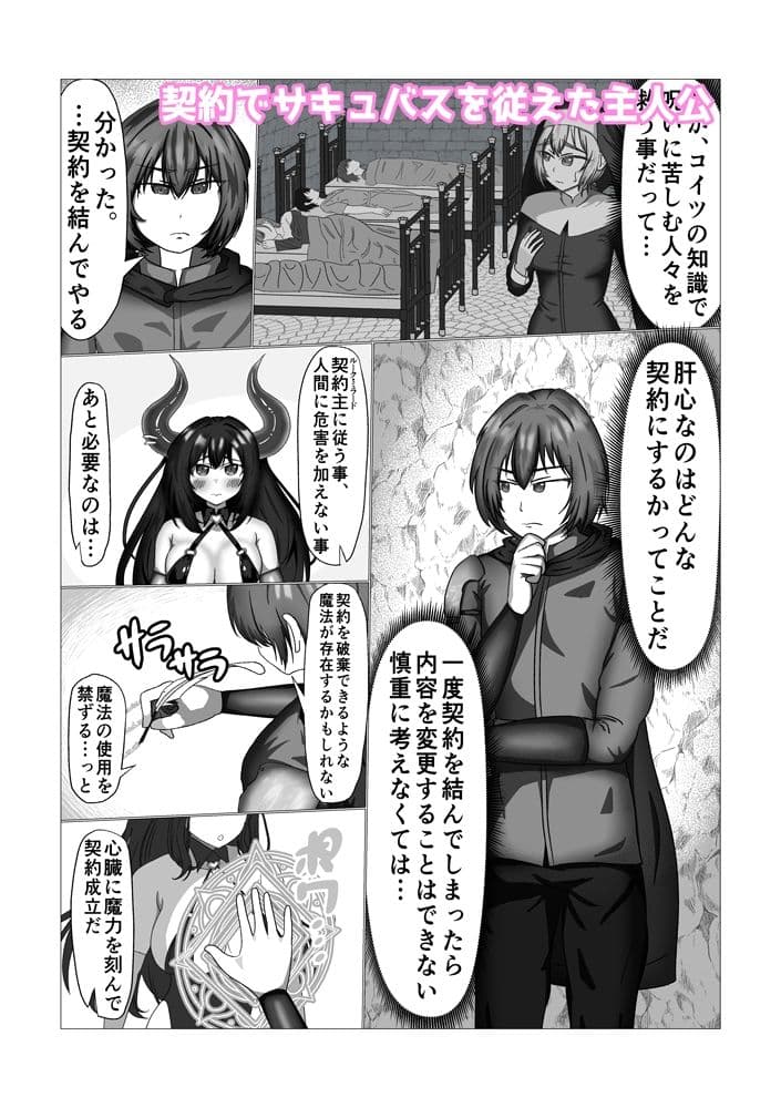 サキュバスを隷属させた俺  なぜか♀堕ちして主従逆転してしまう サンプル1