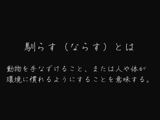 わたしを馴らすひと【途中記録】 サンプル1