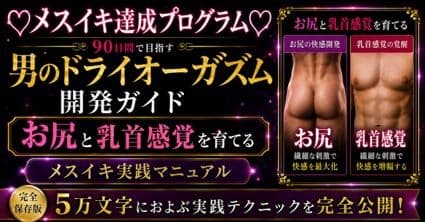 （はーと）メスイキ完全達成（はーと）に向けた 90日間の開発プログラム 絶対迷わない！！！ お尻と乳首を使ってイキ狂いたい方向けに5万文字でお送りする完全達成ガイド サンプル1