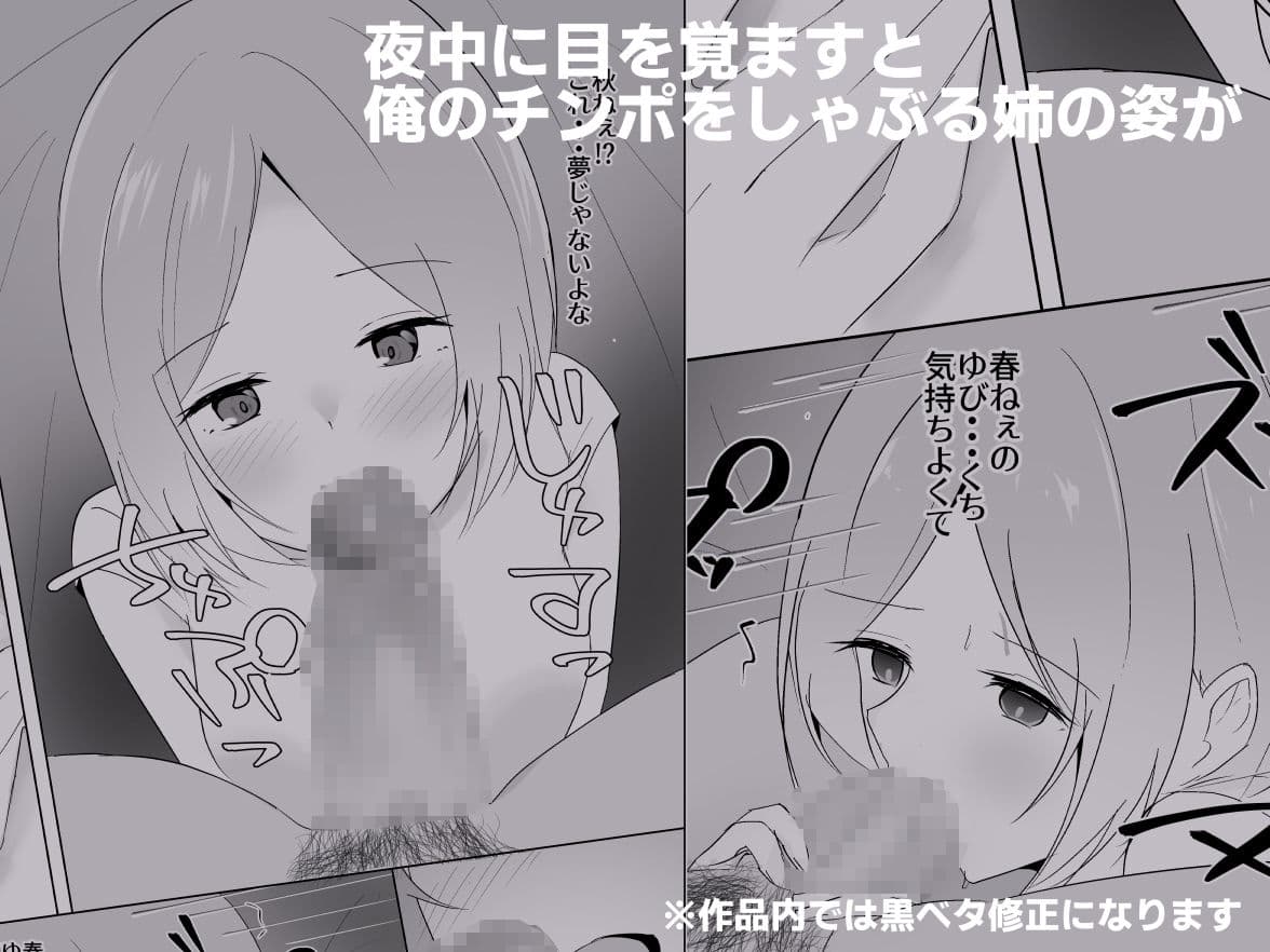 姉がよなよなフェラしてくる サンプル3