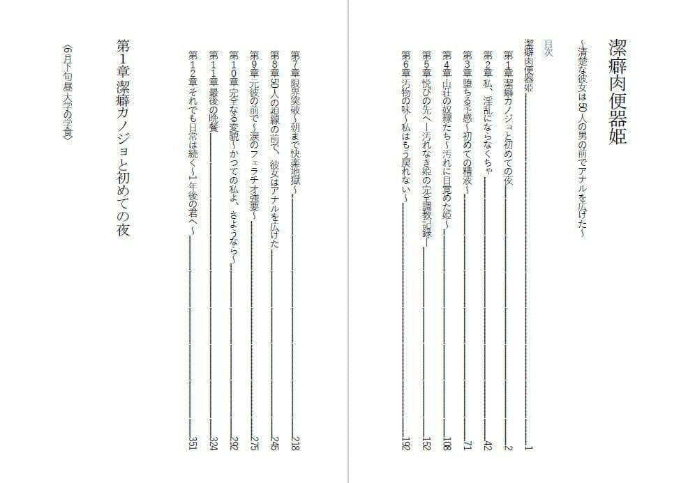 潔癖肉便器姫〜清楚な彼女は50人の男の前でアナルを広げた〜 サンプル1