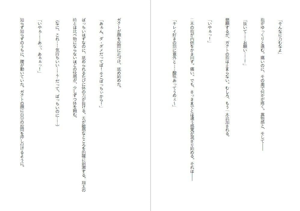 潔癖肉便器姫〜清楚な彼女は50人の男の前でアナルを広げた〜 サンプル3