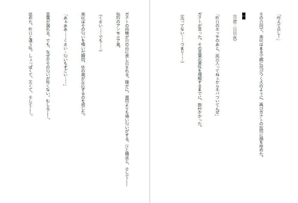 潔癖肉便器姫〜清楚な彼女は50人の男の前でアナルを広げた〜 サンプル4