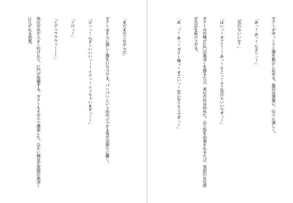 潔癖肉便器姫〜清楚な彼女は50人の男の前でアナルを広げた〜 サンプル6