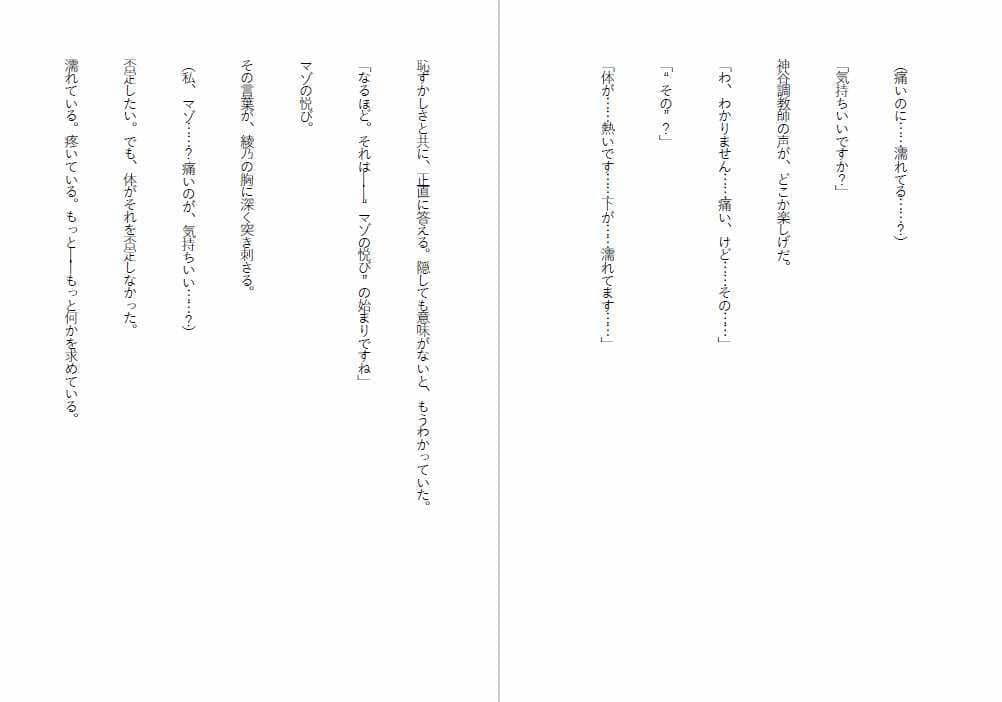 肉便器法〜Sランク肉便器になるまで〜 サンプル3