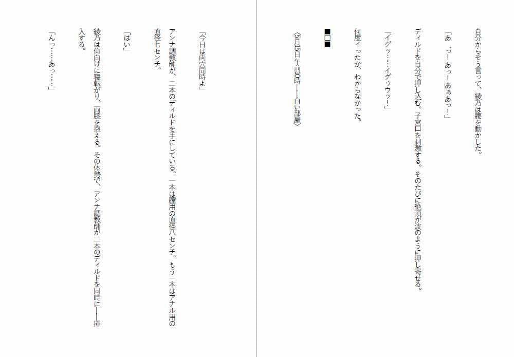 肉便器法〜Sランク肉便器になるまで〜 サンプル5