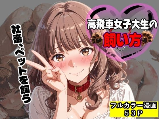 高飛車女子大生の飼い方