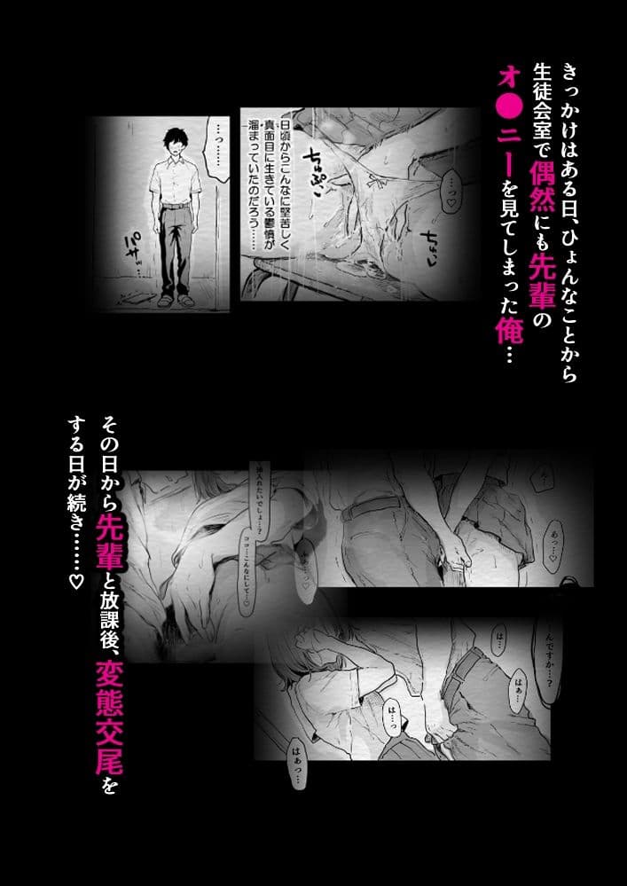 みんなの憧れの生徒会長は実は淫乱痴女で俺と放課後，変態交尾しまくり（はーと） サンプル2