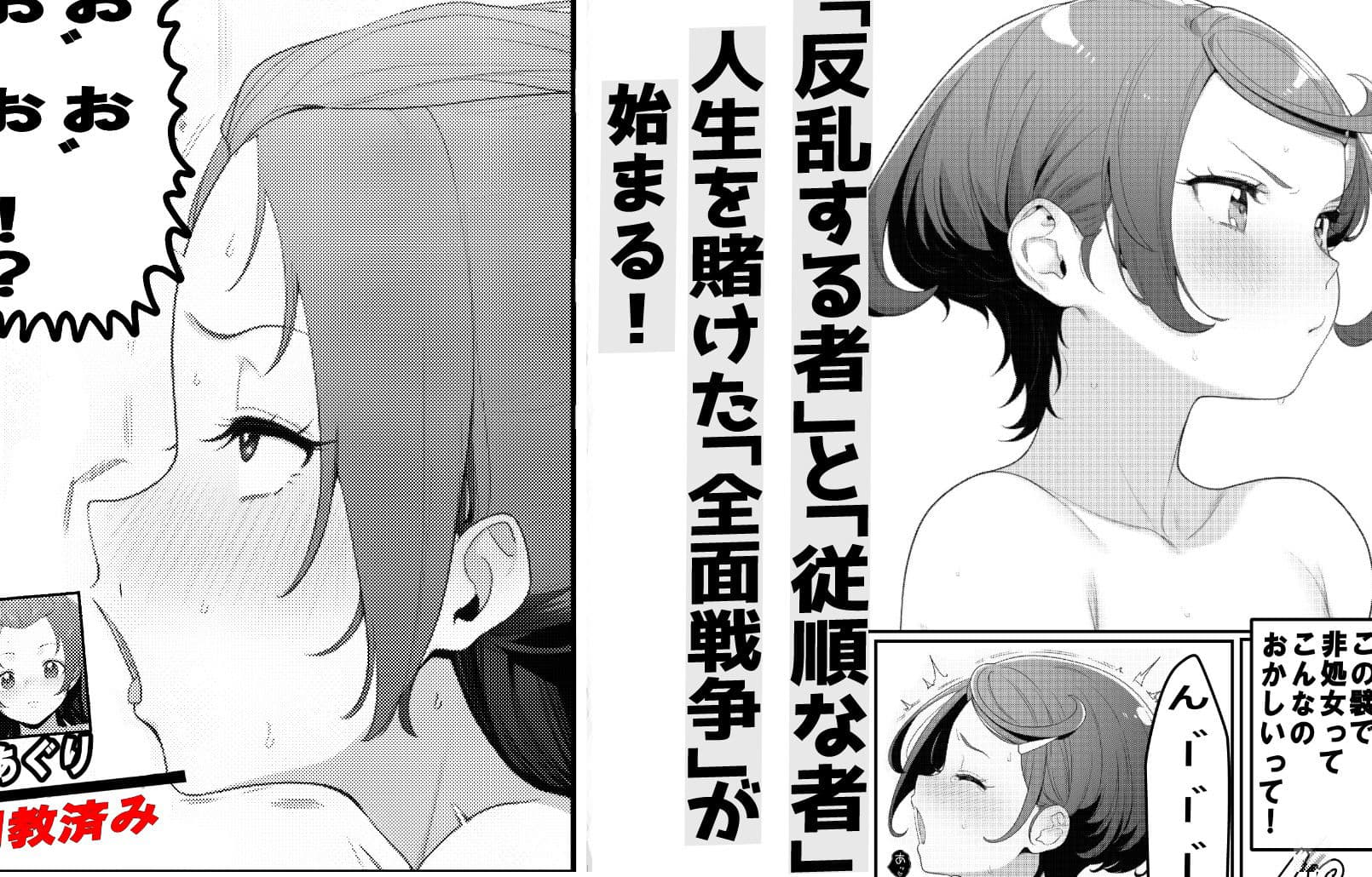 【悲報】俺氏、プ〇キュアの世界に現実逃避して、都合のいい孕ませ大乱交ハーレムを築いた話 サンプル3