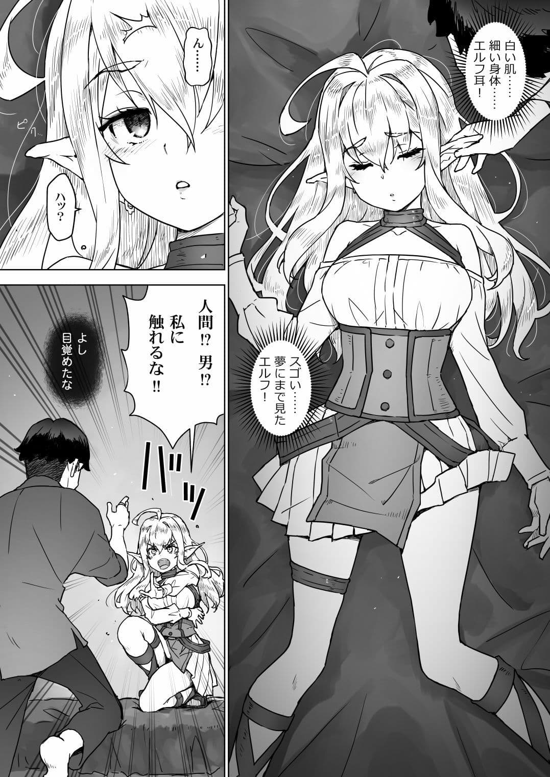 異世界エルフはイかされない！ サンプル3