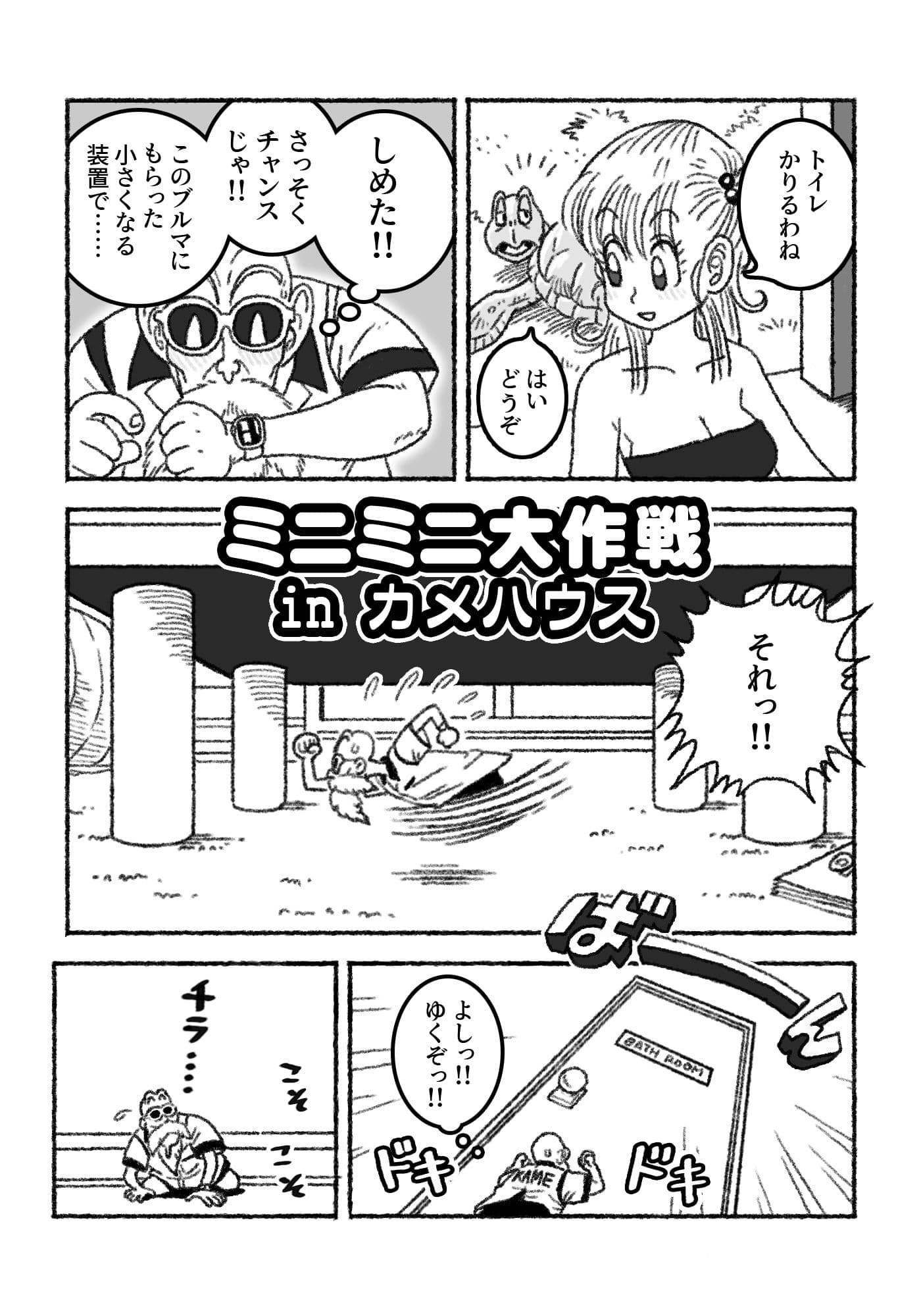 ミニミニ大作戦 in カメハウス サンプル1