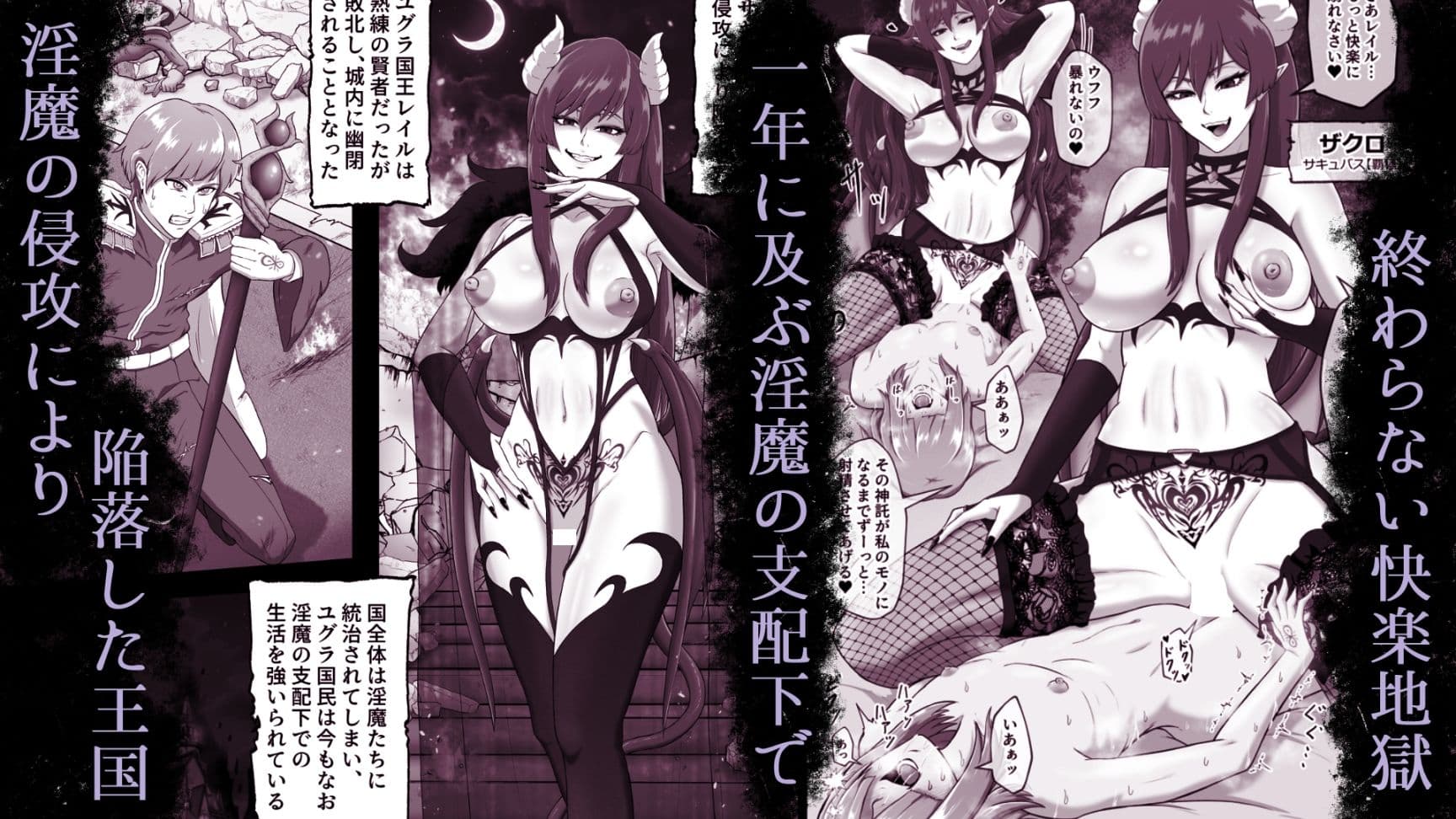サキュバス城攻略 （1）淫魔に支配された王国 サンプル1