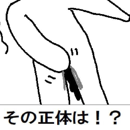 粘土人間のすべて サンプル8