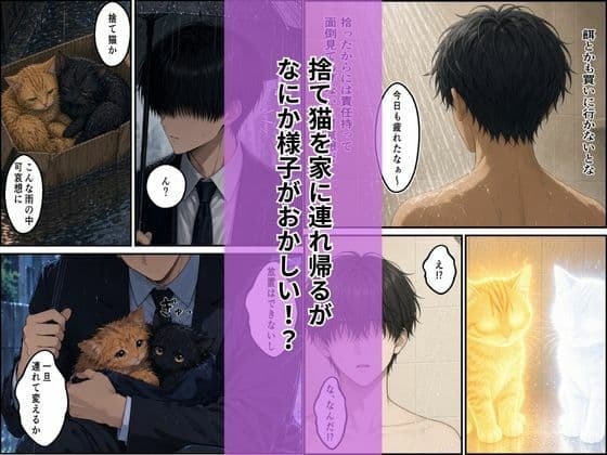 拾った子猫たちがえっちな化け猫で毎日ヤりたい放題 サンプル2