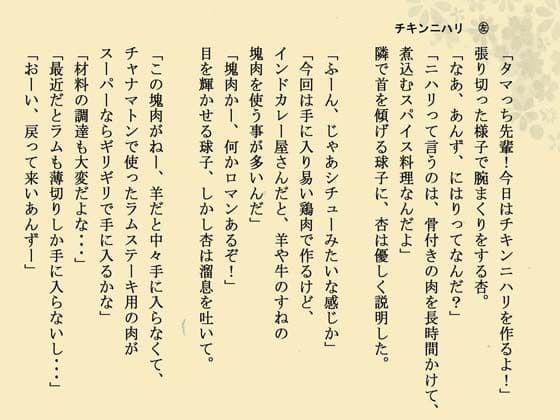 インドカレー伊予島のお手軽レシピ帖 三の章 サンプル2
