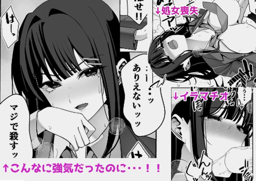 オナペットだった女子校生に脅迫されたので脅迫し返して泣くまで犯してやった サンプル8