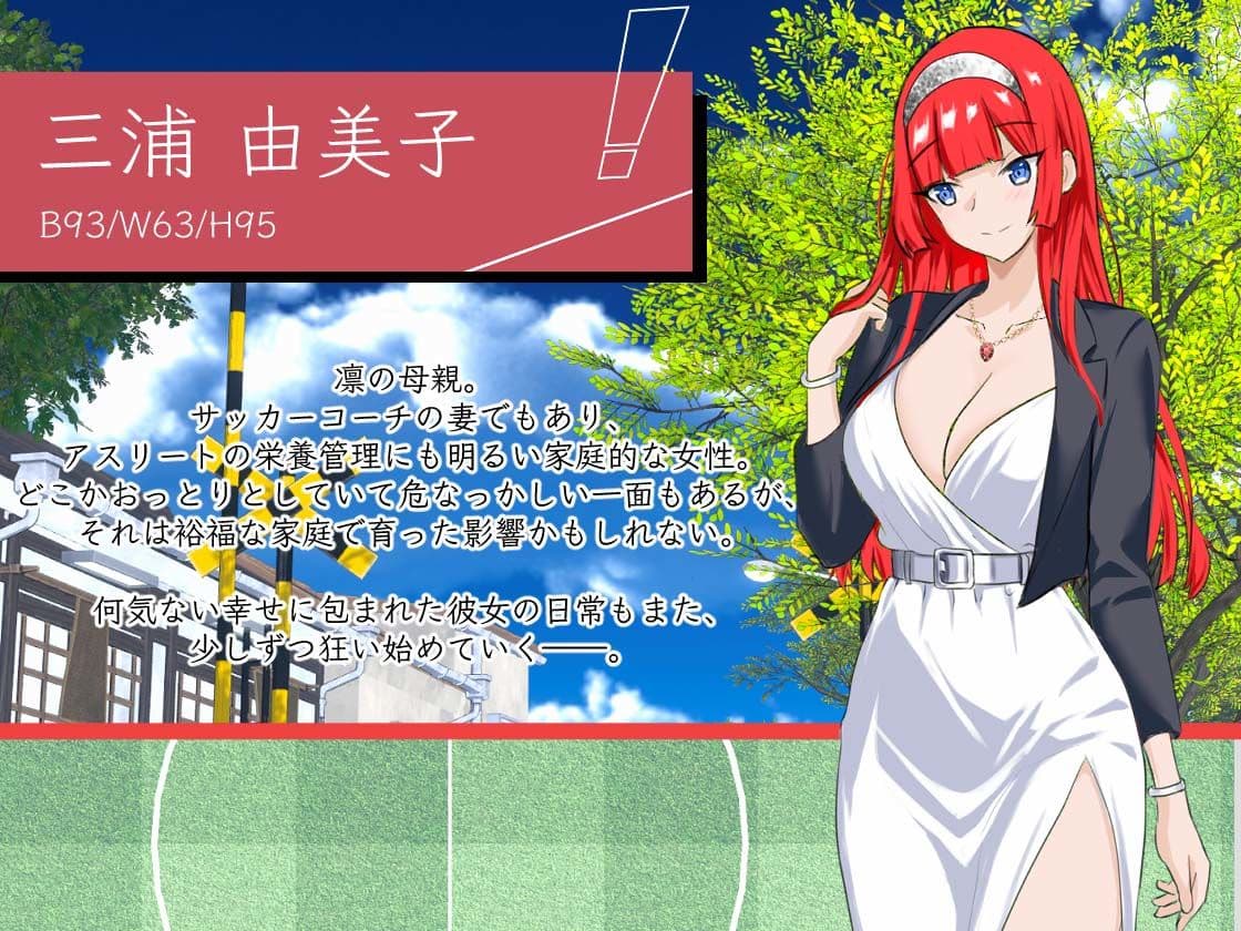 NTRサッカー サンプル10