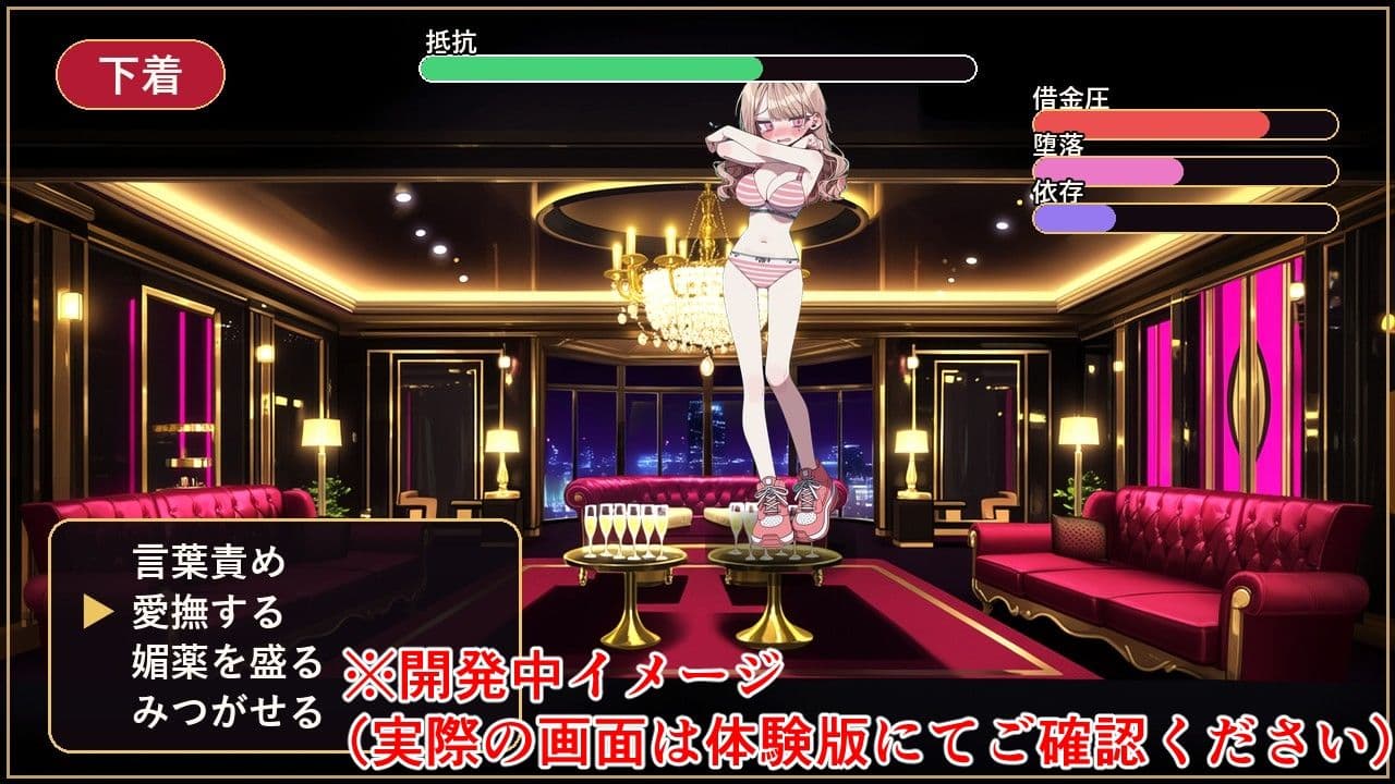 完済できない女たち― 闇金・裏色街・加害者経営RPG ― サンプル9