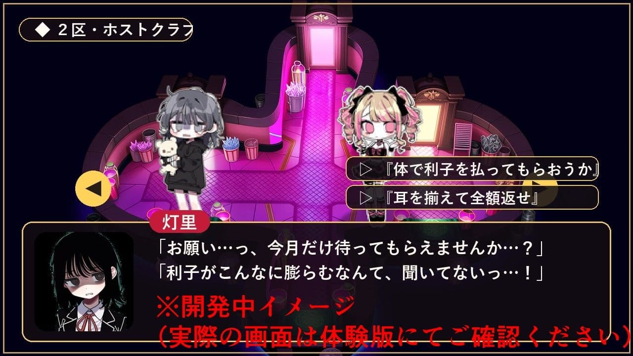 完済できない女たち― 闇金・裏色街・加害者経営RPG ― サンプル10