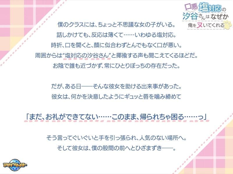 口悪塩対応の汐谷さんは、なぜか俺をヌいてくれる サンプル1