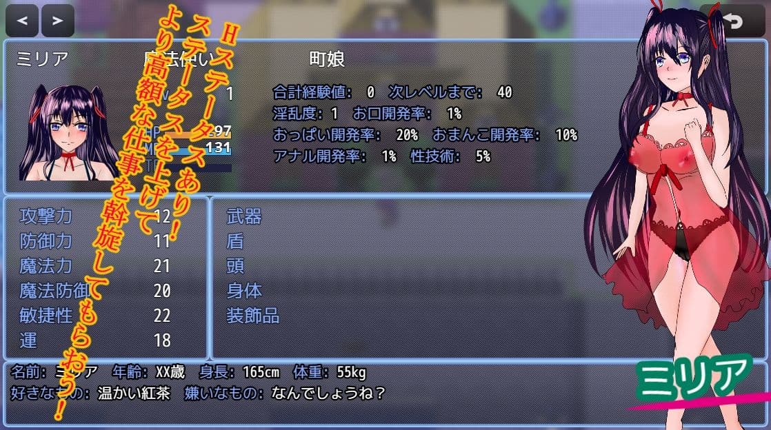 ミリアの借金返済録 サンプル2