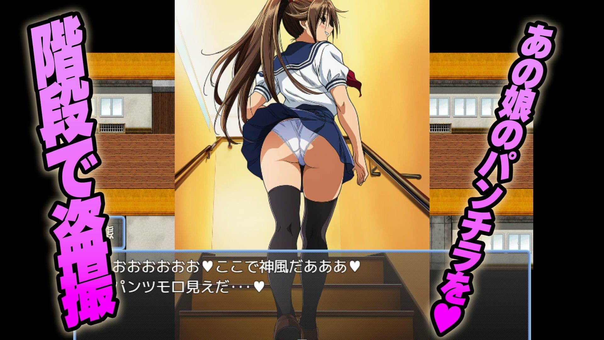 【有名ツンデレ娘を盗撮】〜王道のパンチラを求めて〜 サンプル3