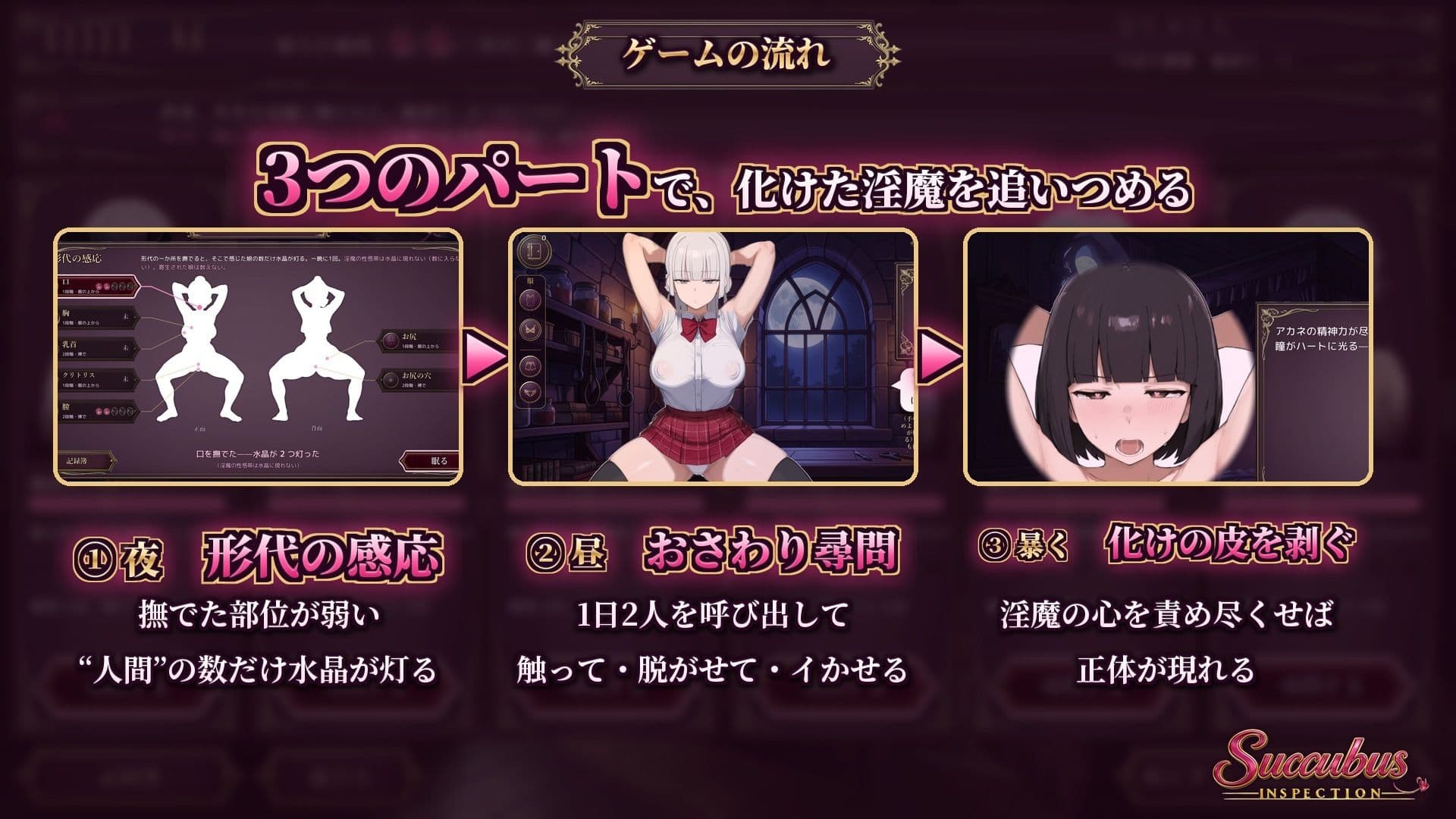 Succubus Inspection サンプル1