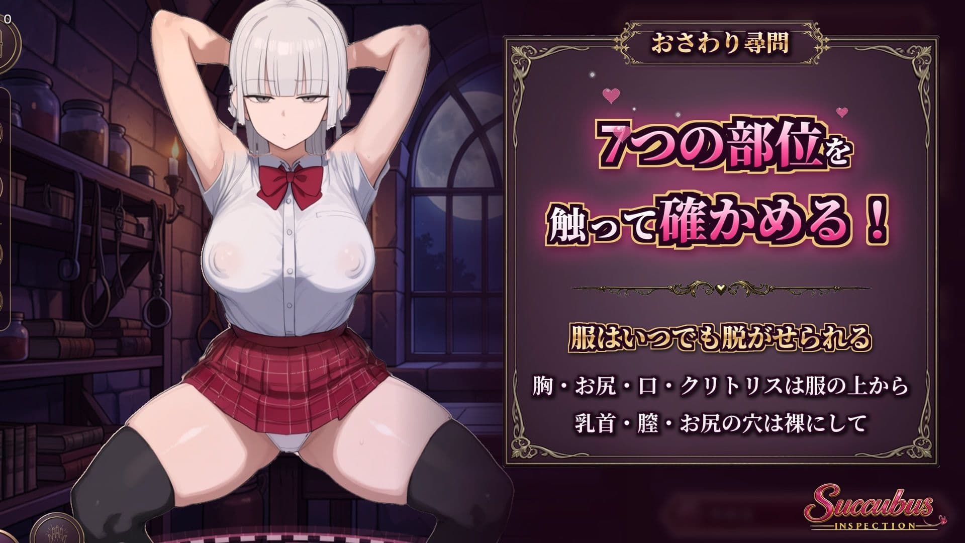 Succubus Inspection サンプル2