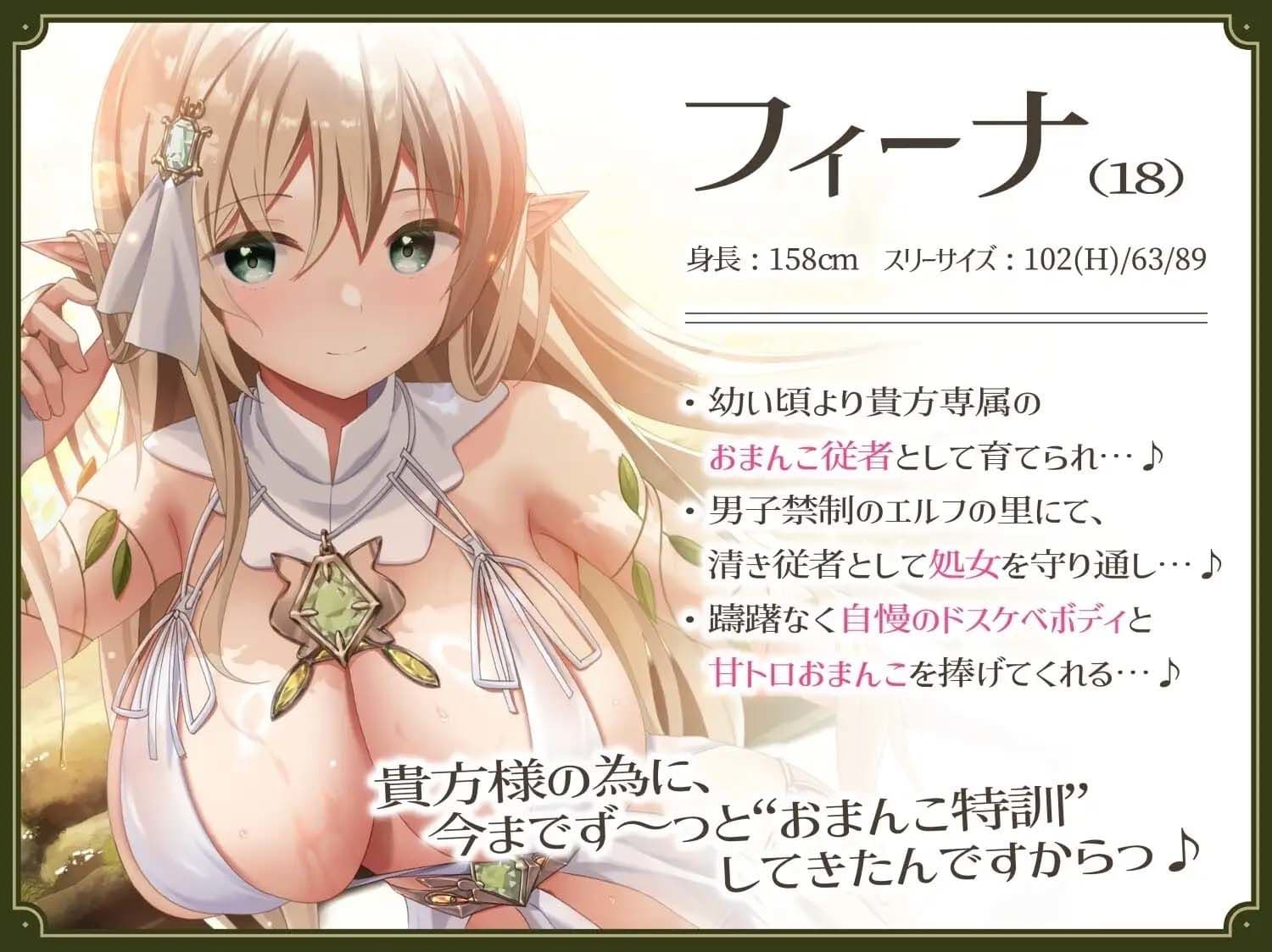【あまあま性処理】異世界おまんこ従者。貴方の為に搾精あまトロおまんこしてくれる健気なエルフ。 サンプル2