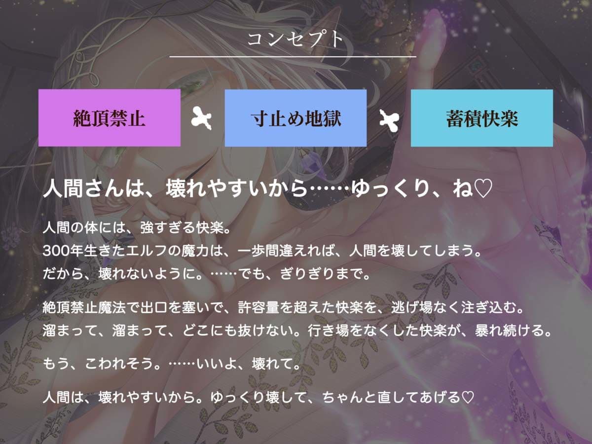 【絶頂禁止催●】むちむちエルフの異種族性感マッサージ〜壊れていいよ、魔法で直してあげるから（はーと）〜 サンプル2