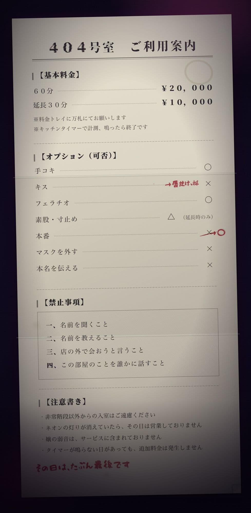 【完全匿名のマゾ向け裏風俗】60分2万円で哀れみセックス＆情けない手コキ寸止め現実逃避〜404号室の売春婦のテクニックに沼った金欠社会人の末路〜 サンプル2