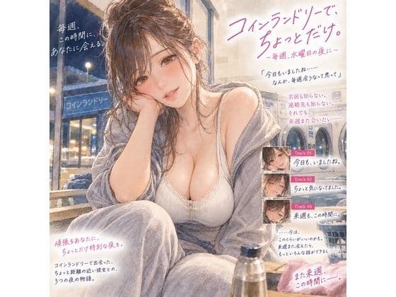 『コインランドリーで毎週会うお姉さんと、洗濯が終わるまで話すだけ。』
