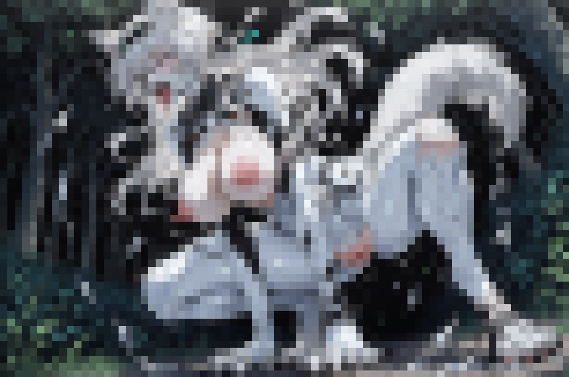 獣堕ち蛍 サンプル10